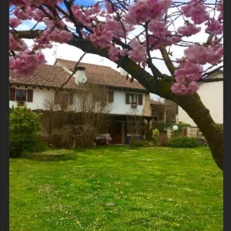 The Paragliding House *